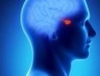 Sindromul lobului frontal (Frontal lobe syndrome) Sindromul lobului frontal