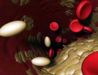 Cholesterol: biological role, functions and features