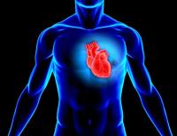 心血管系に対するアルコールの影響