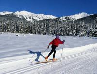 Да видите ски и сняг насън
