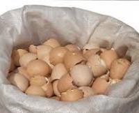Cascas de ovos como fertilizantes